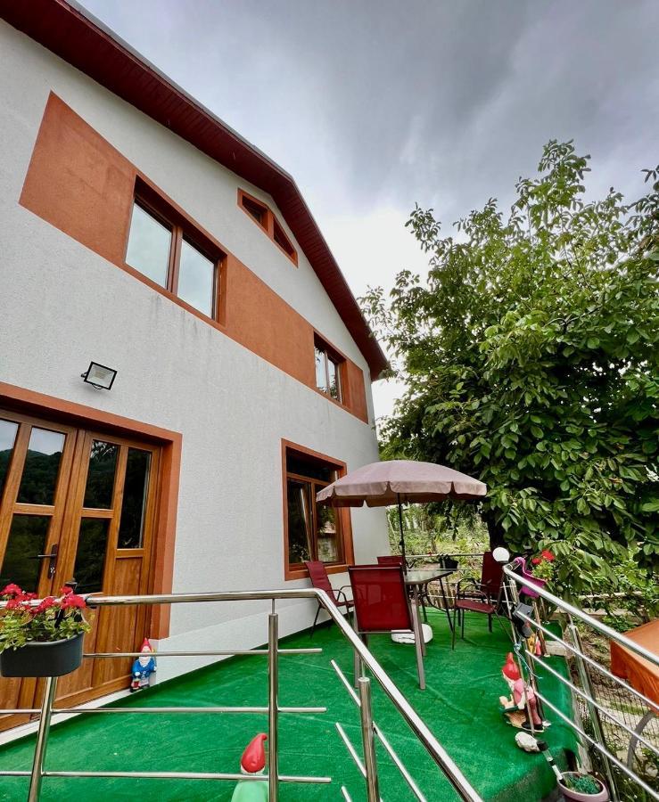 Casa Camelia Villa Nehoiu Luaran gambar
