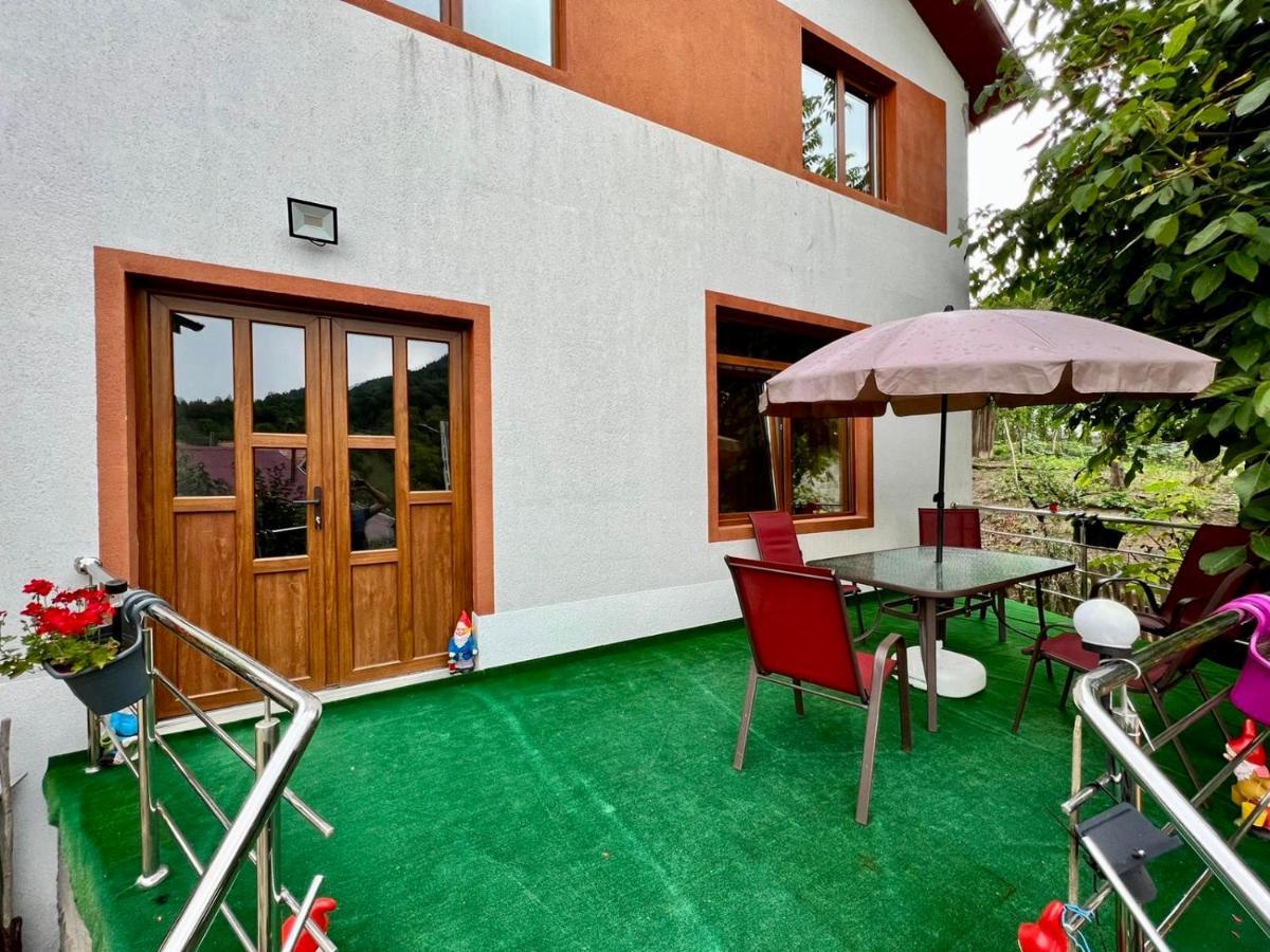 Casa Camelia Villa Nehoiu Luaran gambar