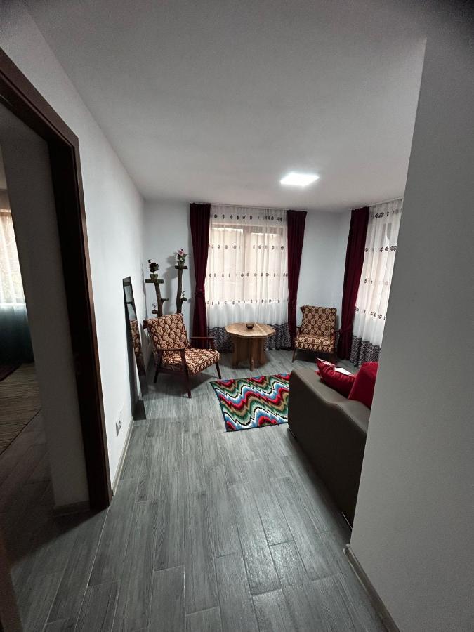 Casa Camelia Villa Nehoiu Luaran gambar