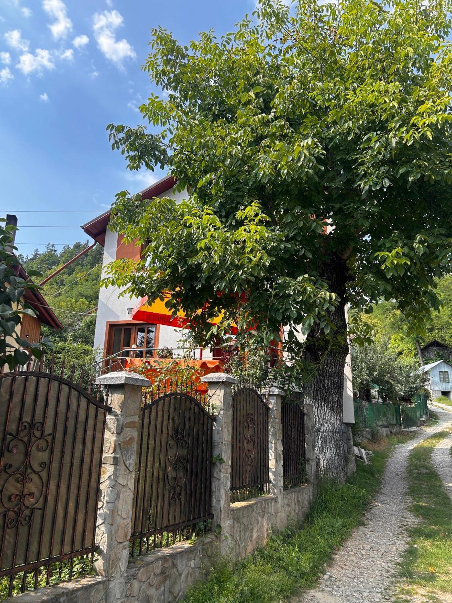Casa Camelia Villa Nehoiu Luaran gambar