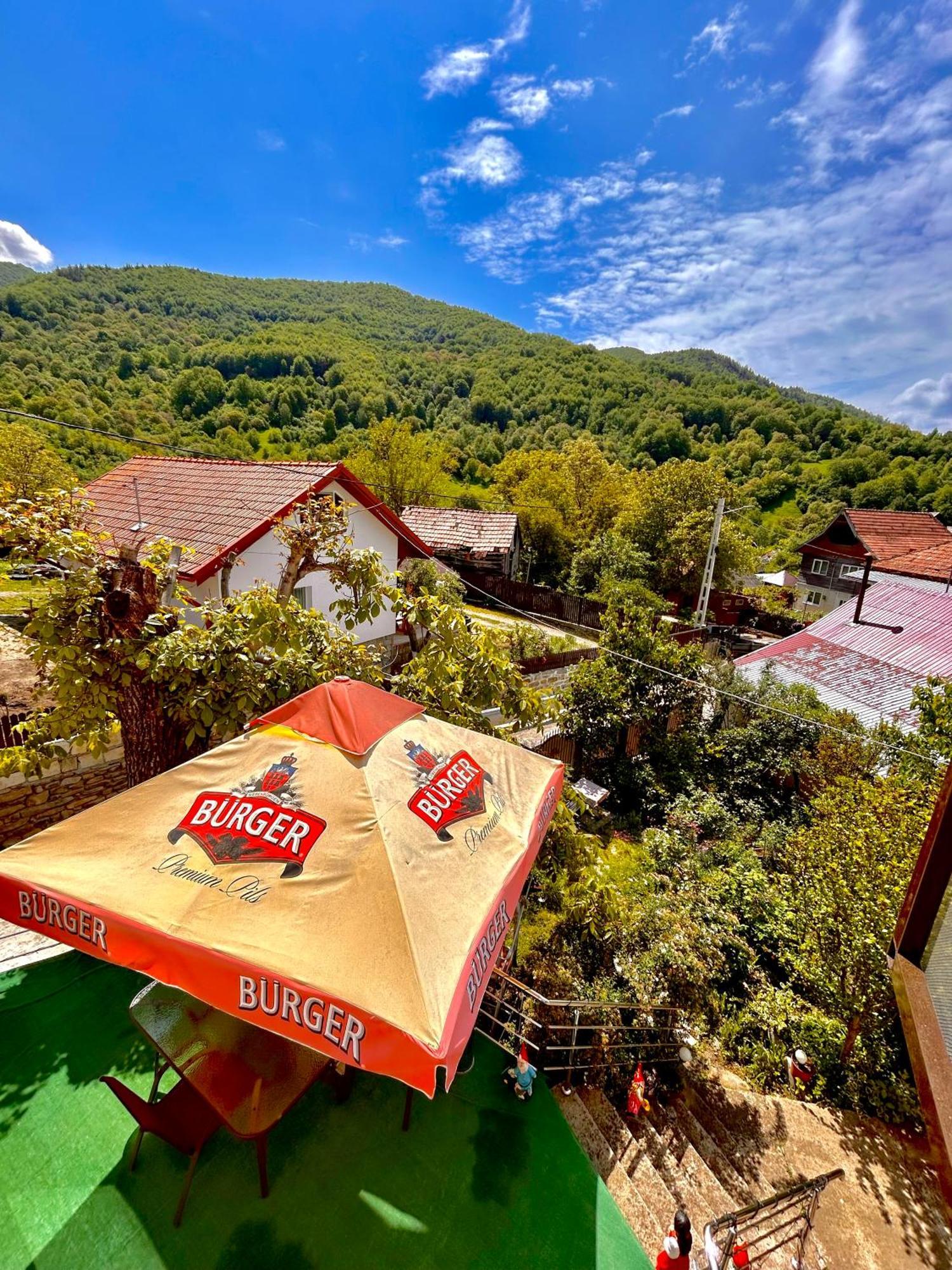 Casa Camelia Villa Nehoiu Luaran gambar